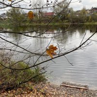 ***осенний пейзаж*** :: Olga Oskolkova