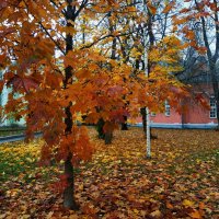 Глубокая осень в Москве :: Андрей Лукьянов Глубокая осень в Москве :: Андрей Лукьянов