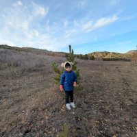 Марьяна и сосенка. :: Андрей Хлопонин