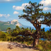 Крым :: Анна Пугач Крым :: Анна Пугач