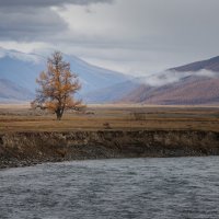 Одиночество :: Sergey38 