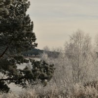 Осенний заморозок :: Сергей Шаврин