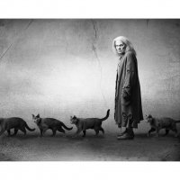 ночной патруль :: старик