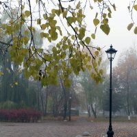 *** :: Валентина Береснева *** :: Валентина Береснева