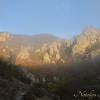 Природа Крыма :: Amazing Cosmea