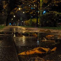 ***** :: юрий поляков