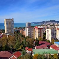 Панорама Сочи с Виноградной горки :: Tata Wolf