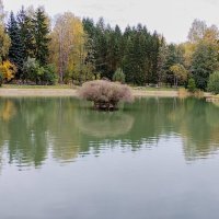 Пруд :: Валерий Пославский