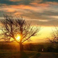 sunset :: Elena Wymann sunset :: Elena Wymann