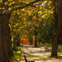 Осень :: Светлана Тихонина