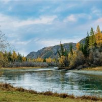 Осеннее настроение :: Алексей Мезенцев