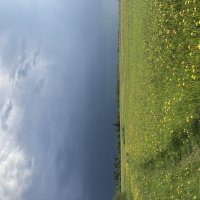 Перед грозой :: Ольга Савельева 