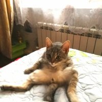 малыш в ударе :: Анютка А