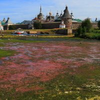 Соловки во время отлива Белого моря. :: Николай Кондаков