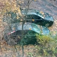 В листьях осенних :: Дмитрий Никитин