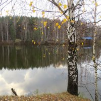 поздняя осень :: НАТАЛЬЯ 