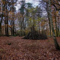 Однажды в лесу... :: Николай Гирш