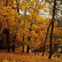 Осенний Петергоф :: Nataly St. Осенний Петергоф :: Nataly St.