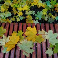 По дороге на работу :: Андрей Лукьянов