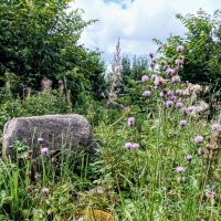 Прогулка по променаду Круизного терминала :: Veera V