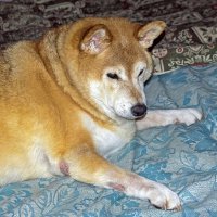 В ожидании :: Валерий Иванович В ожидании :: Валерий Иванович