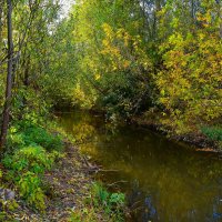 Чебоксары. Речка Чебоксарка в одноименном парке осенью. :: Пётр Чернега