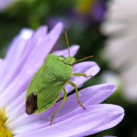 *   *   * :: Уже не важно 