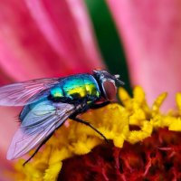 *   *   * :: Уже не важно 