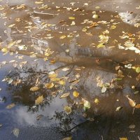 Осень в луже :: Ольга Довженко