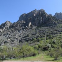 Природа Крыма :: Amazing Cosmea