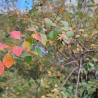 ,,, :: Сергей Тимоновский