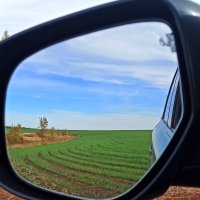 Хлеб :: Павел Кореньков