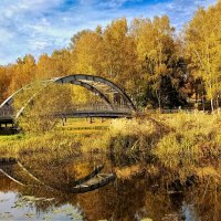 Осень в Сестрорецком парке :: Oleg S 