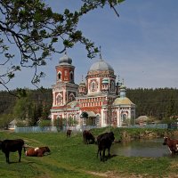 Новая Ханинеевка. Ульяновская область :: MILAV V