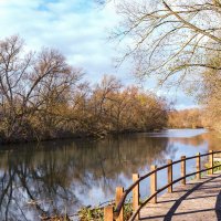 Осень в Подмосковье :: But684 