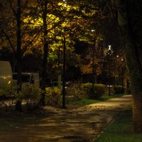 ***** :: юрий поляков