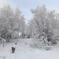 Зима :: Anna Ivanova Зима :: Anna Ivanova