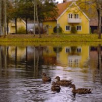 У дамбы :: liudmila drake