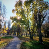 Осенний день :: Надежда 