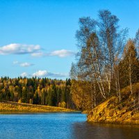 Березка над водой :: Сергей Винтовкин