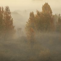 Октябрь :: Елена 