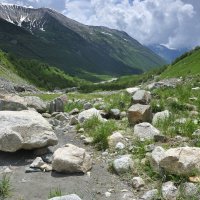 Тернистый путь :: Марина Виноградова