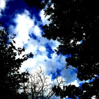 Осень 32 :: Алексей Кузнецов