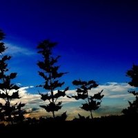 Осень 35 :: Алексей Кузнецов