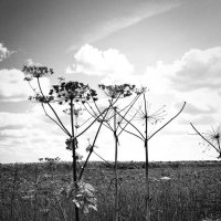 Фотография :: Денис Безногов