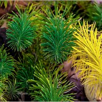 Поздняя осень ... :: Aquarius - Сергей