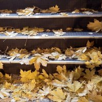 Осенние картинки :: Наталья Герасимова