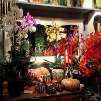 Красота в цветочном магазине! :: Нина Андронова