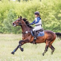 Кросс :: SanSan 