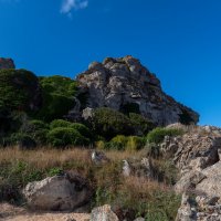 *** :: Виталий Емельянов